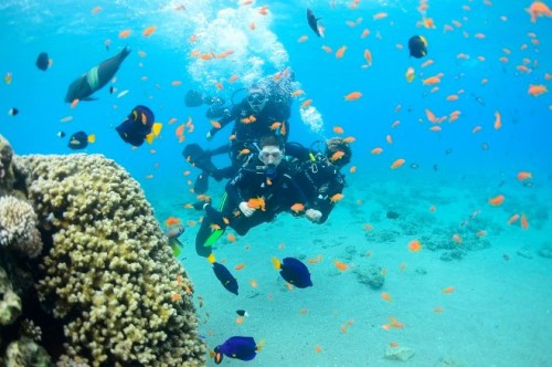 diving in aqaba jordan