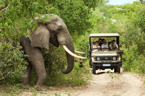 8 Tage Kapstadt & Kruger Park Safari