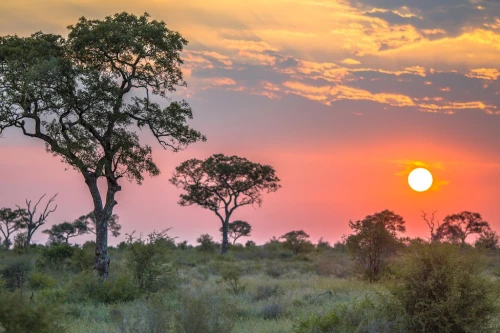 6 dias e 5 noites: Cidade do Cabo e Safari no Kruger