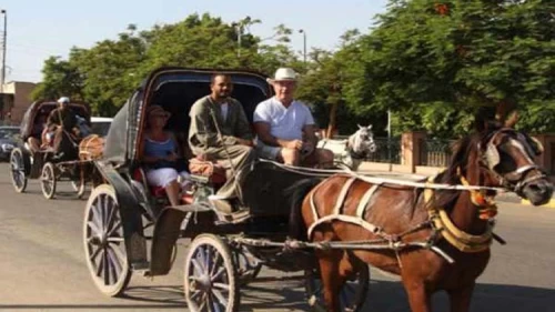 Passeio na cidade de Aswan por carruagem de cavalos